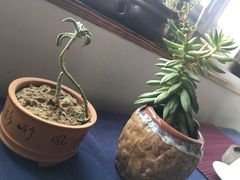 -煮雨小筑(斜塘老街店)