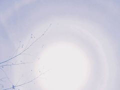 -锅贴王海鲜小馆