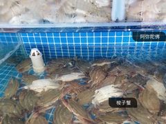 水产区-蟹谢蒸鲜自助餐厅