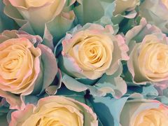 -花邻FloweringLife花艺气球派对(武康大楼店)