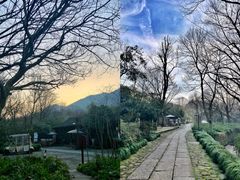-法云安缦酒店