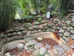 -三江森林温泉度假区
