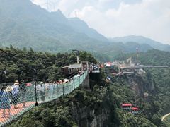 -梦幻奥陶纪景区