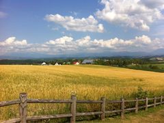 iphone_upload_pic-富田农场