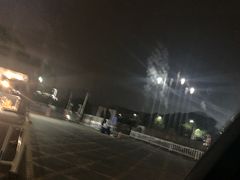 -杨氏青龙虾·羊蝎子(托乐嘉店)