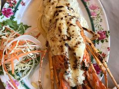 -Red Lobster