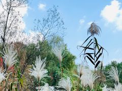 -西湖风景区-江洋畈生态公园