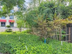 -宝馨月月子中心(友谊医院店)