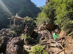 -南海湾森林生态园