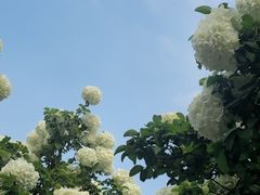 -苏州上方山国家森林公园