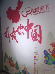 -飞览天下沉浸式飞行体验(北京旗舰店)