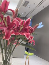 -崇尚GAVIN STYLE臻选