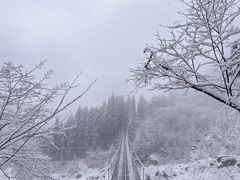 -九峰山