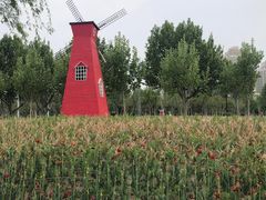 -廊坊文化艺术中心