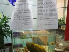-大连海事大学-游泳馆
