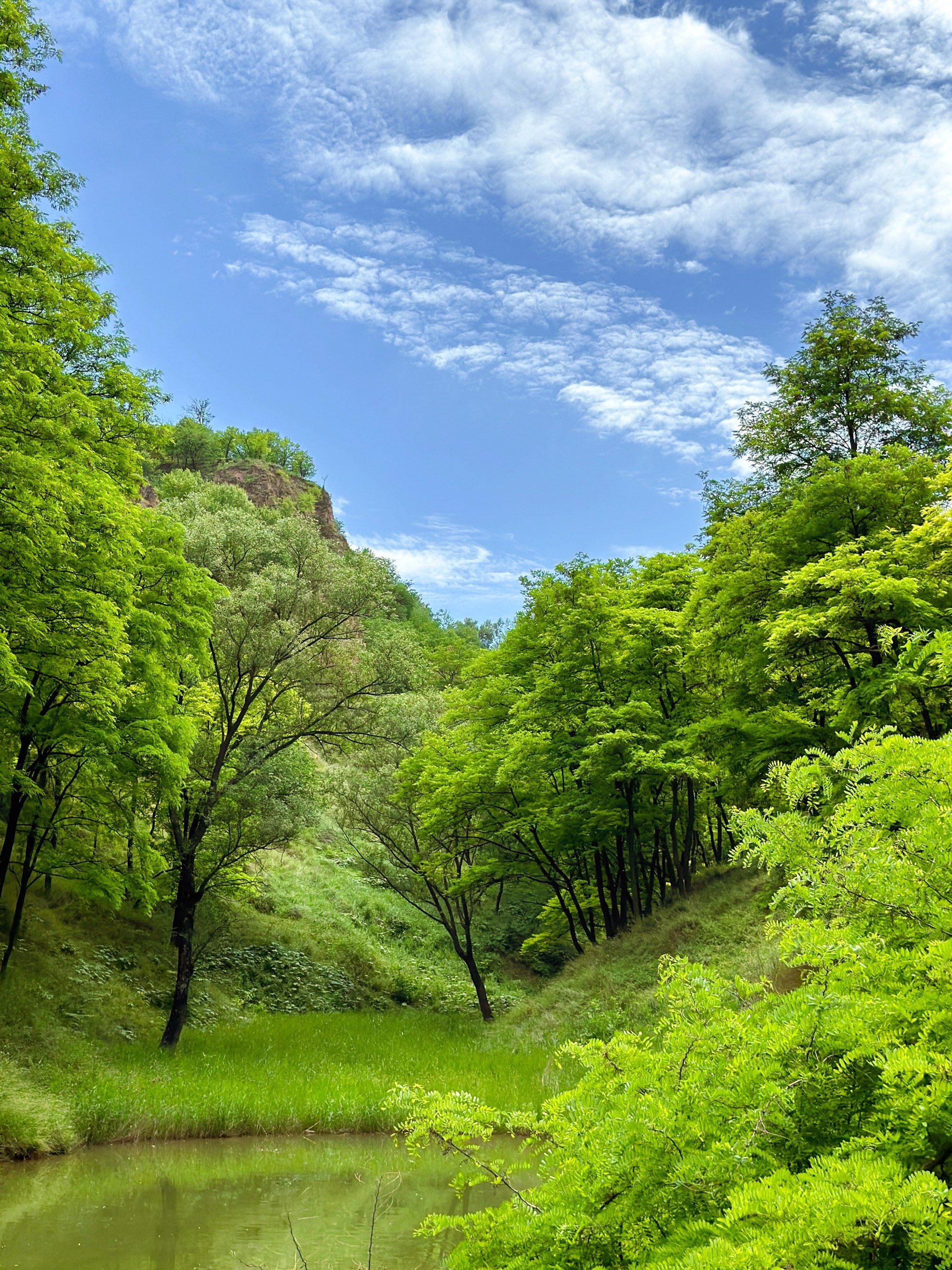 野外风景照图片