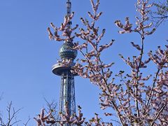 -青岛海滨风景区