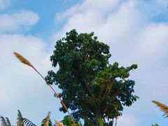 -白鹭湾湿地公园