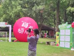 -宝岩生态观光园