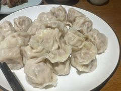 大葱鲜肉水饺-伊喜饺子·烤鸭(五道口学院路店)