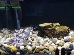 -鄂尔多斯野生动物园