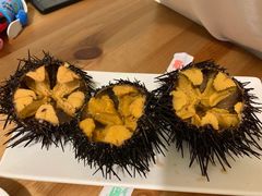 生海胆-海胆小馆(东北水饺·春柳店)