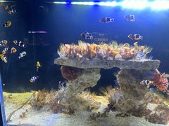 -沈阳海洋探索中心