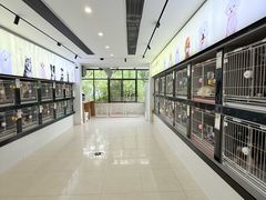 -翊宠yipet猫狗购宠庄园犬舍•猫舍