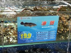 -东江海鲜酒家(艺都分店)