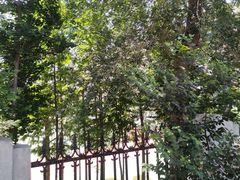 -大连市第二十四中学