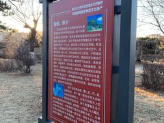 -图们国门景区