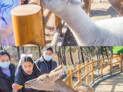 -茅山东方盐湖城景区