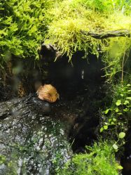 -酷嗒动物文化乐园(cutezoo西溪乐天城店)