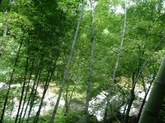 -山沟沟景区