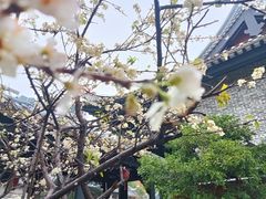 -岭南和园