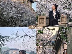 -武汉大学-樱园