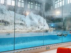 -帝企鹅自助餐厅•儿童岛•真企鹅(长隆企鹅酒店)