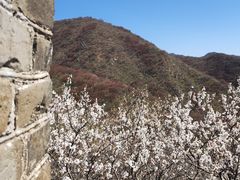 -慕田峪长城