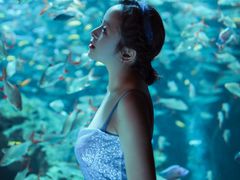 -成都浩海立方海洋公园