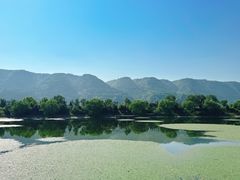 -函谷关历史文化旅游区