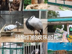 -保定市动物园