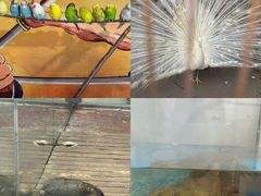 -南湖梦幻岛