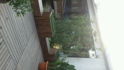 android_upload_pic-爱儿美儿童摄影(朝阳公园店)