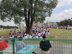 -上海月湖雕塑公园