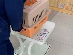 -全心全意连锁动物医院·微创中心·内科急重症·心脏专科(丰管路店)