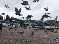 -谢尔盖圣三一大修道院