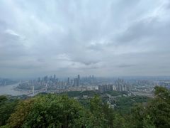 -南山植物园