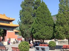 -历代帝王庙博物馆