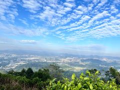 -黄埔油麻山森林公园