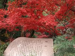 -杭州半山国家森林公园